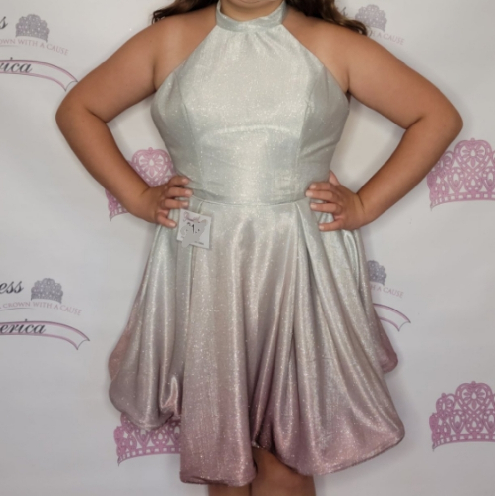 Rachel Allen size 12 pink ombre cocktail dress